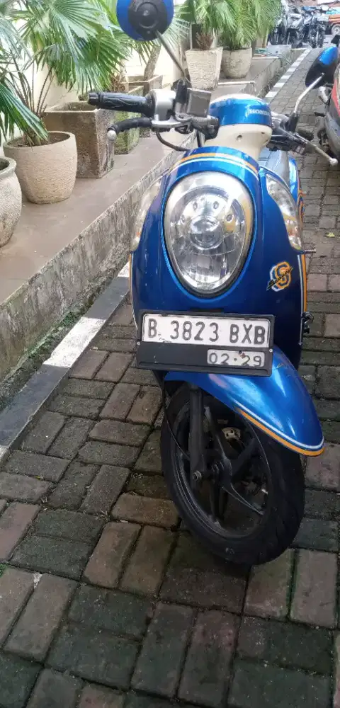 Honda Scoopy 2014