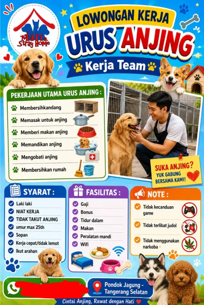 KERJA URUS ANJING