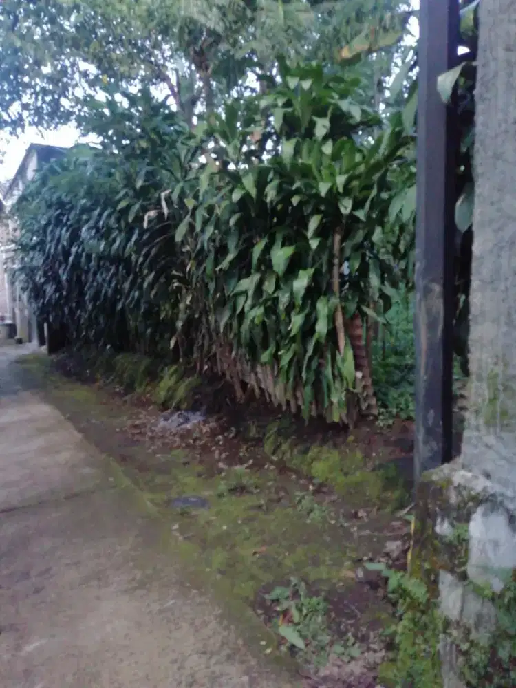 TANAH STRATEGIS DI KOTA NYAMAN