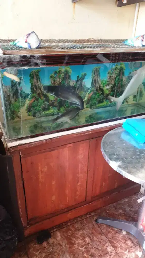 Dijual aquarium.filter,ikan yg besar 3bh,gratis meja lemari