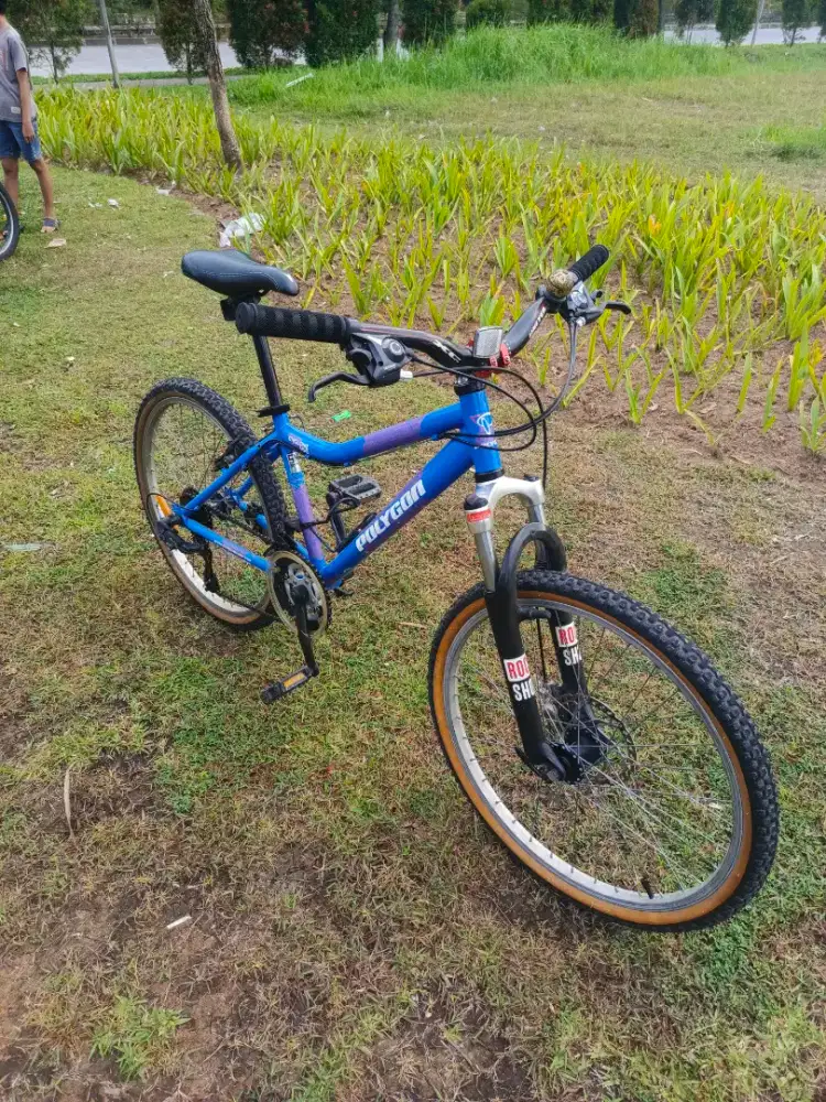 Sepeda polygon ukuran 24