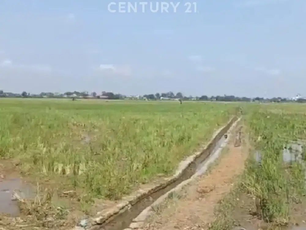 Tanah Sawah Lokasi Strategis Dan Masih Produktif Di Bekasi