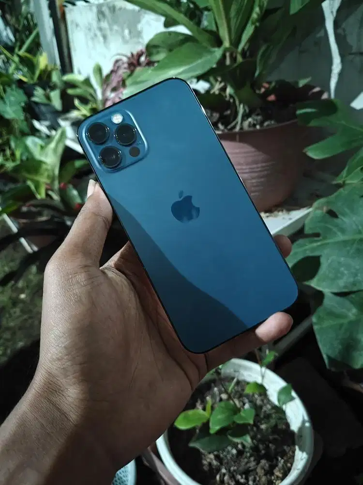Iphone 12 pro 256gb ex iBox