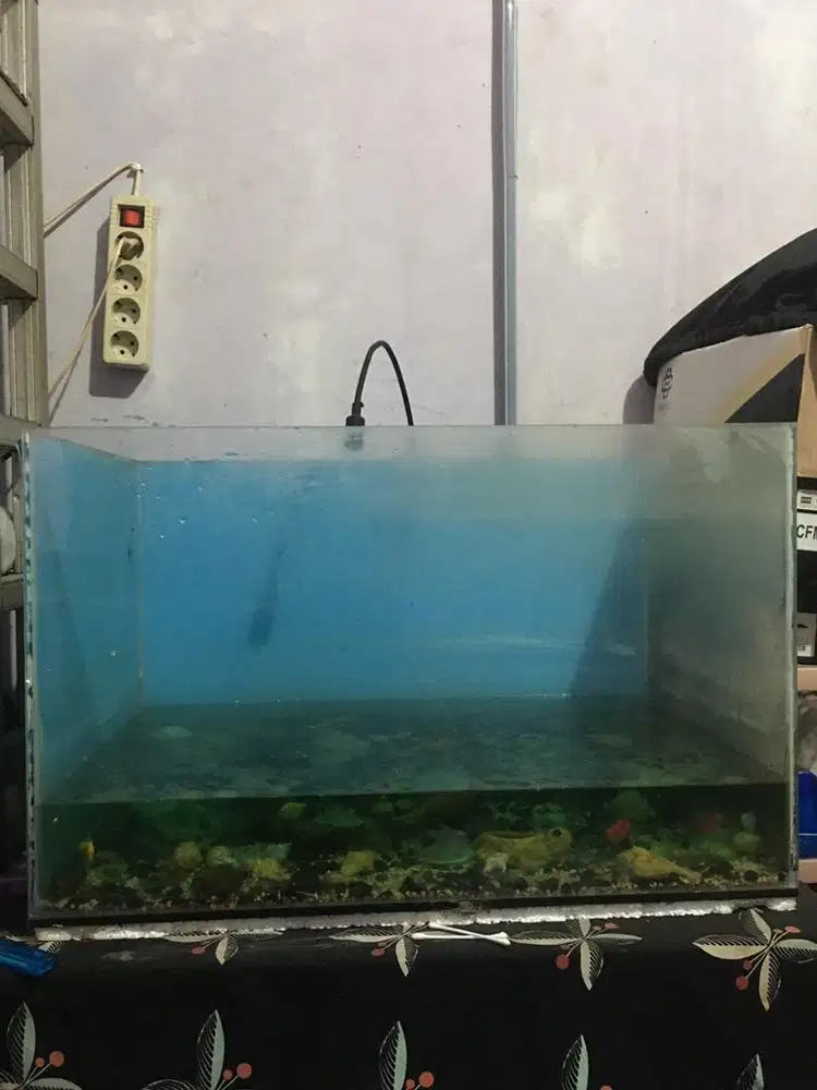 Aquarium + accesoris
