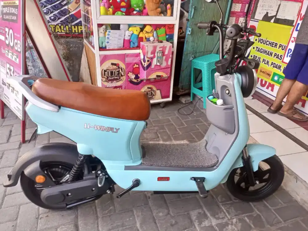Sepeda Listrik U-Winfly D8