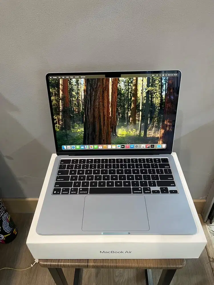 MACBOOK AIR M4 RAM 24GB SSD 512GB