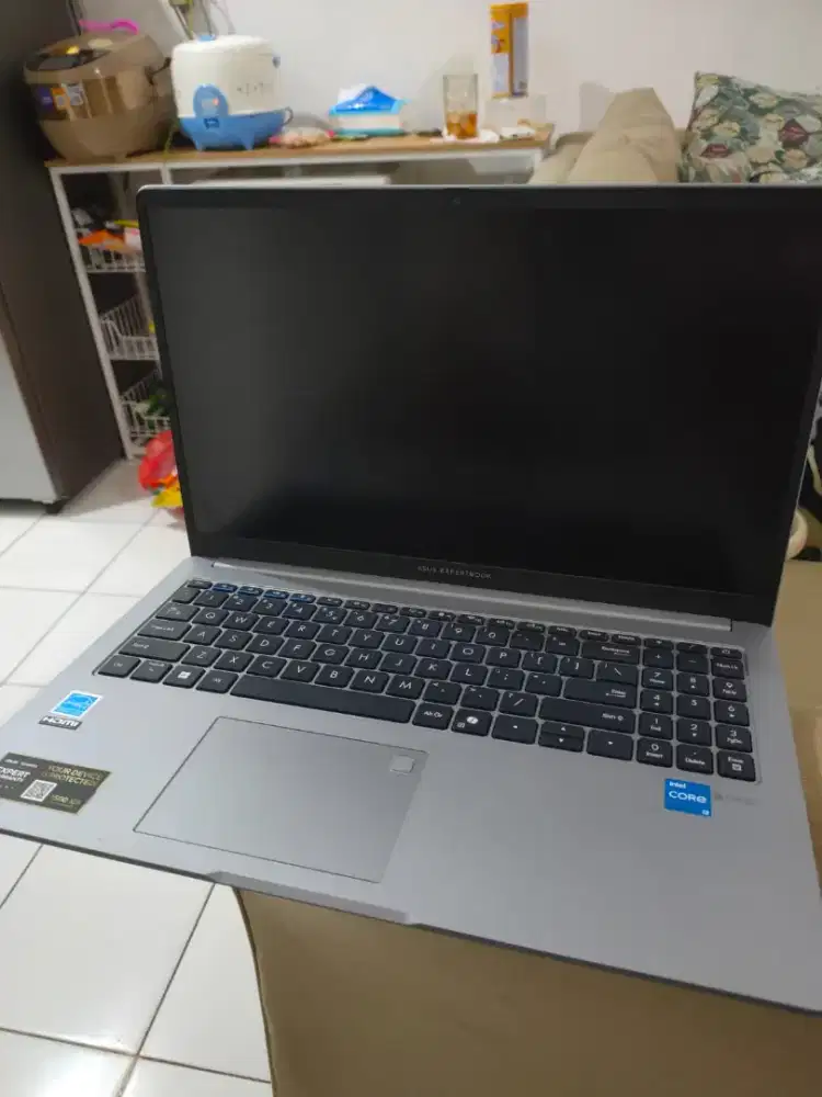 ASUS ExpertBook P1 (P1503CVA), spek Intel Core i3-1315U, RAM 8GB