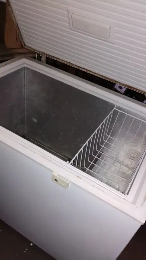Freezer Polytron 300L