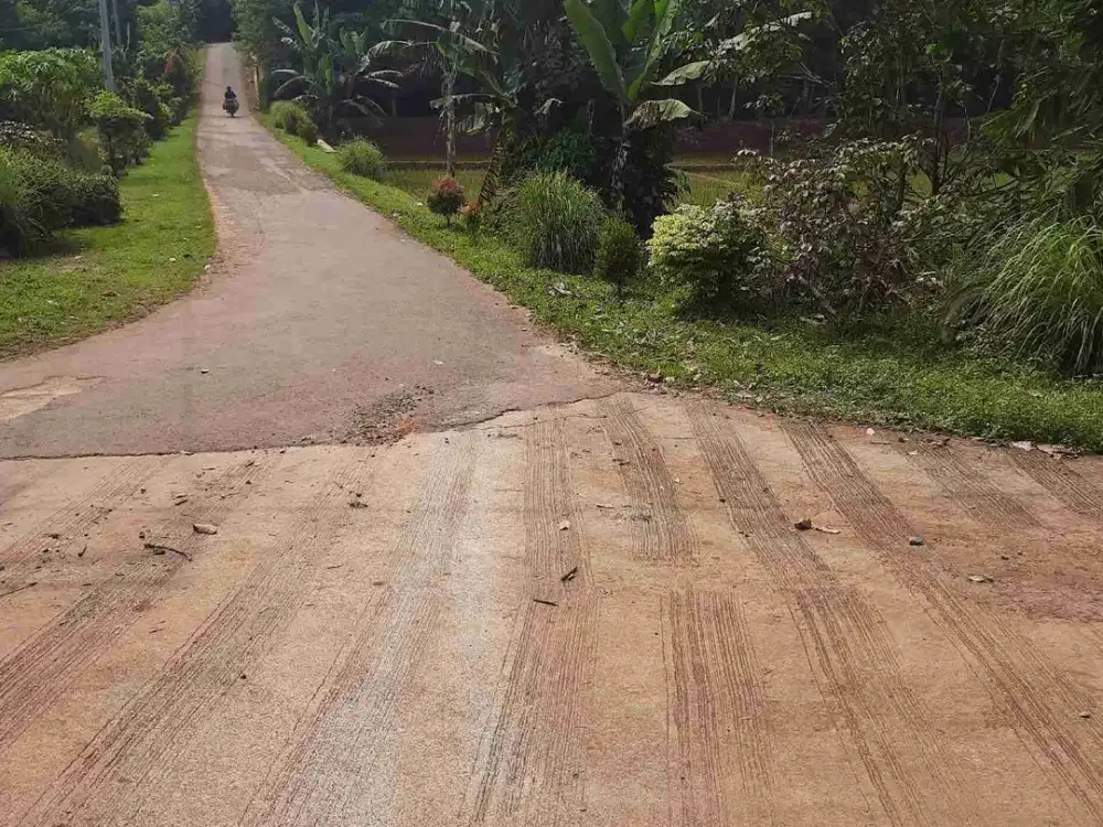 Tanah 140 m2 25 juta Cikaum Subang
