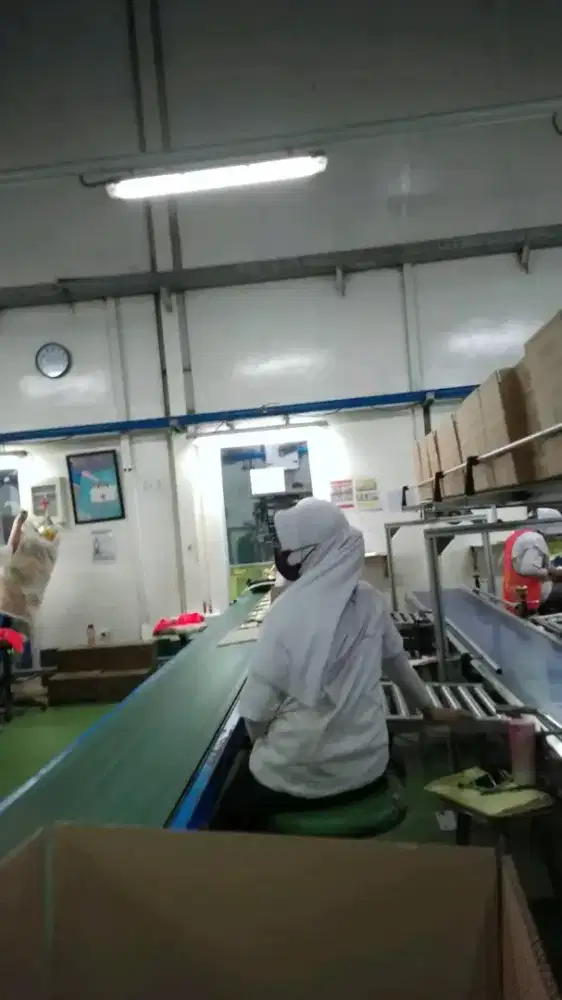 Kloter 2 pabrik yakult khusus perempuan 18-40 tahun.