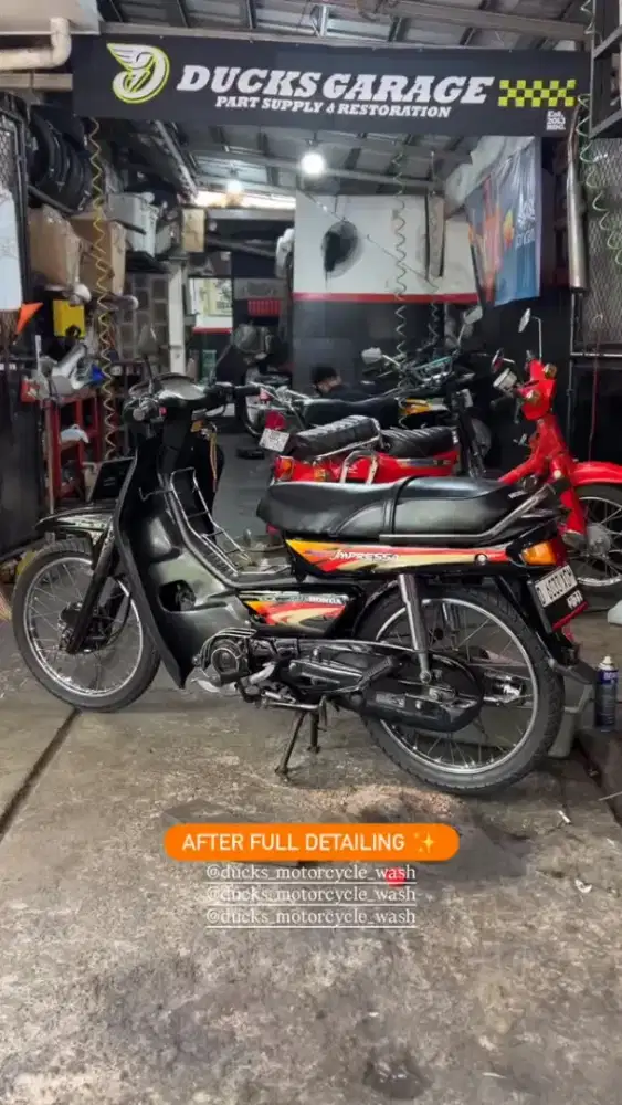 Astrea impressa