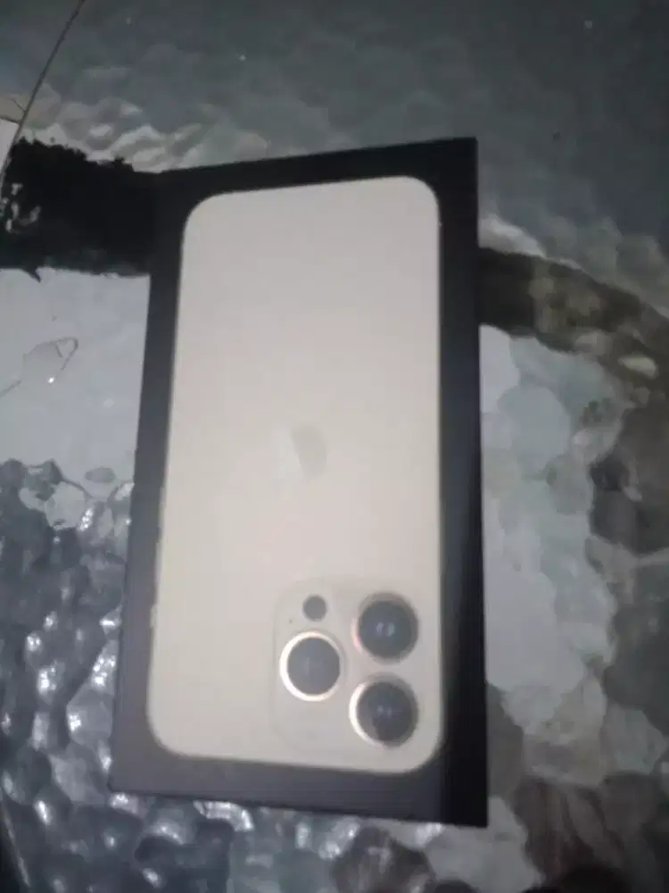 Dus Box iPhone 13pro