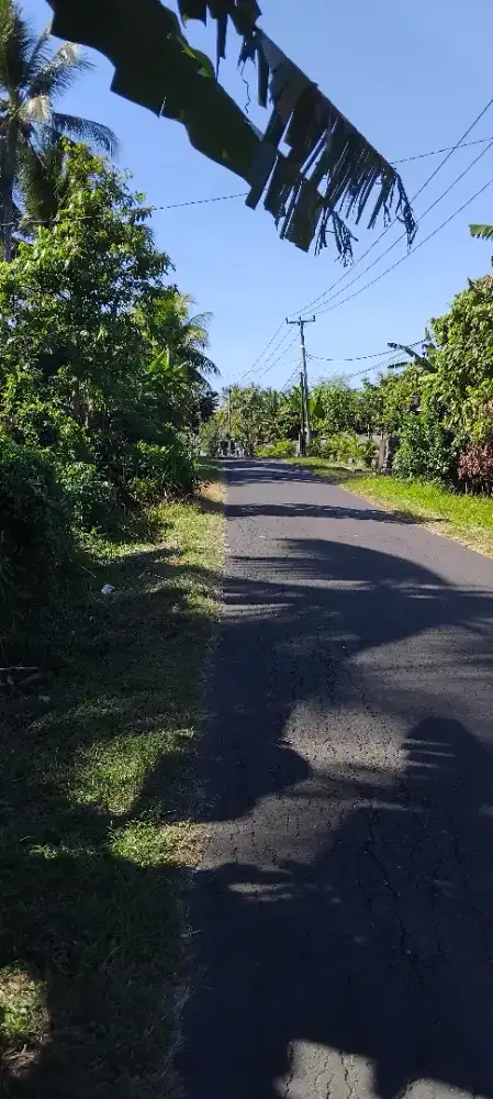 Di jual tanah murah,zona pariwisata ( zina pink ),lokasi strategis,