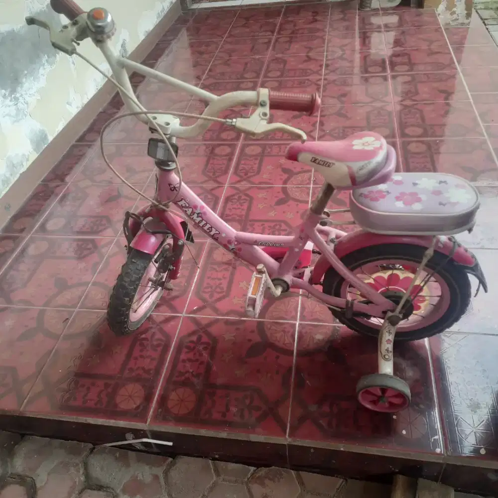 Sepeda anak cewek ban 12