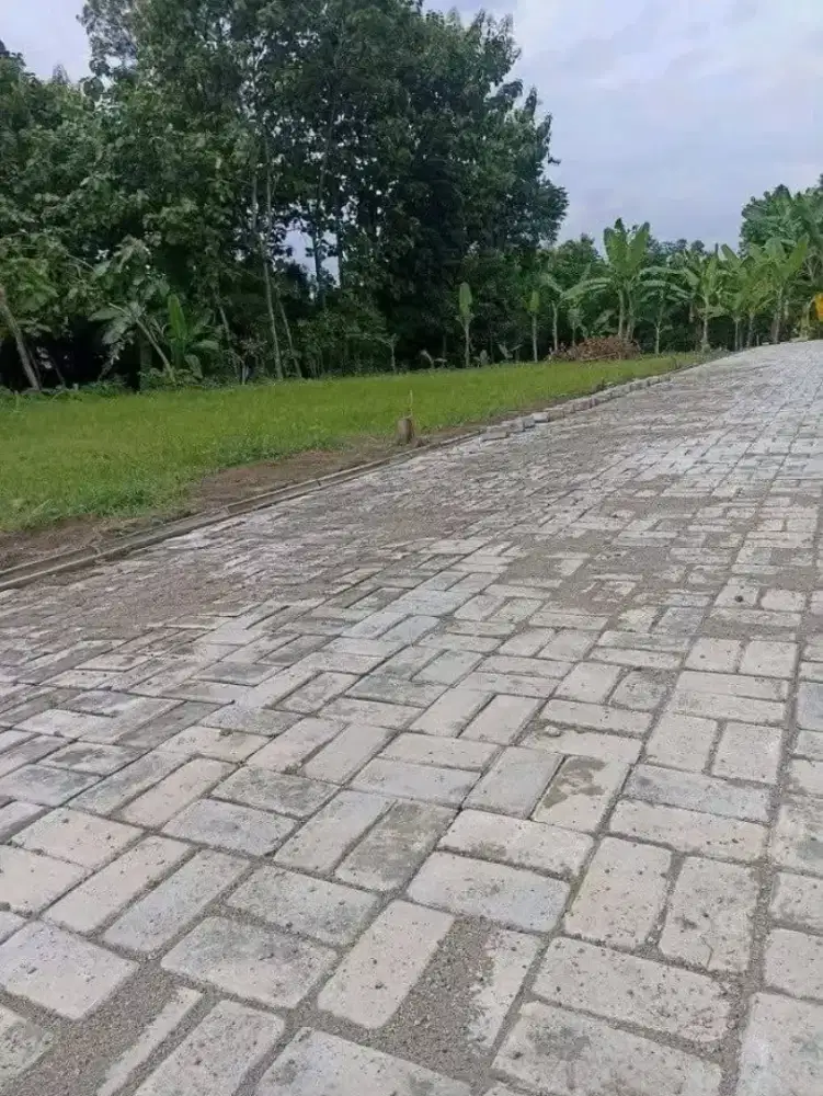 Tanah dekat jalan raya murah di Semarang