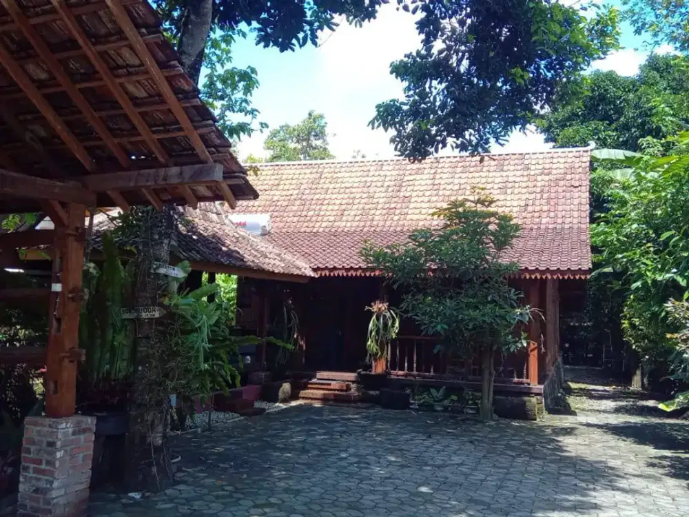 Rumah Halam luas dekat Pasar Turi Turi Sleman Yogyakarta