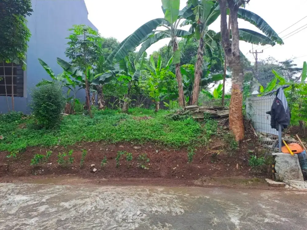 Jual kavling Bogor Utara Tanah Baru dkt indraprasta