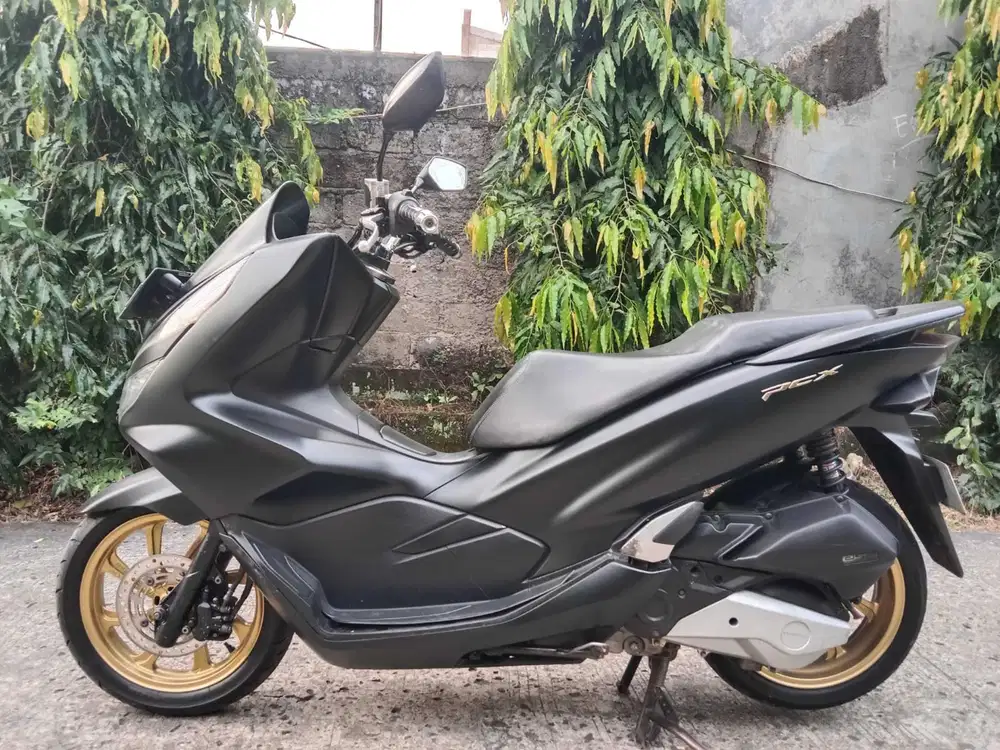 Honda pcx 150 th 2018 pajak hidup
