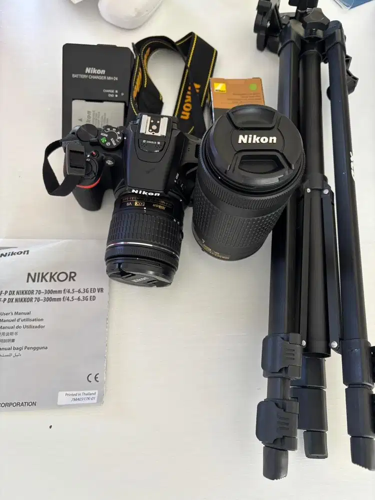 Nikon Nikkor AFP DX Nikkor 70-300mm