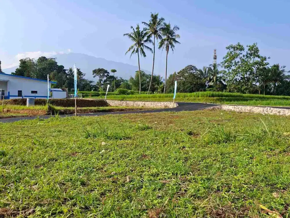 Jual tanah kavling ciawi jambu luwuk