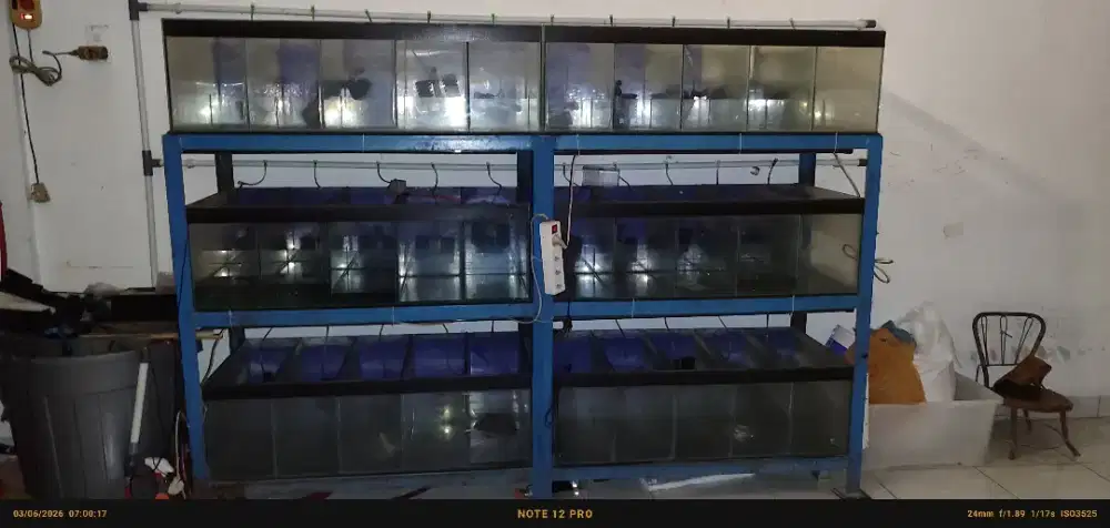 Aquarium dan Rak
