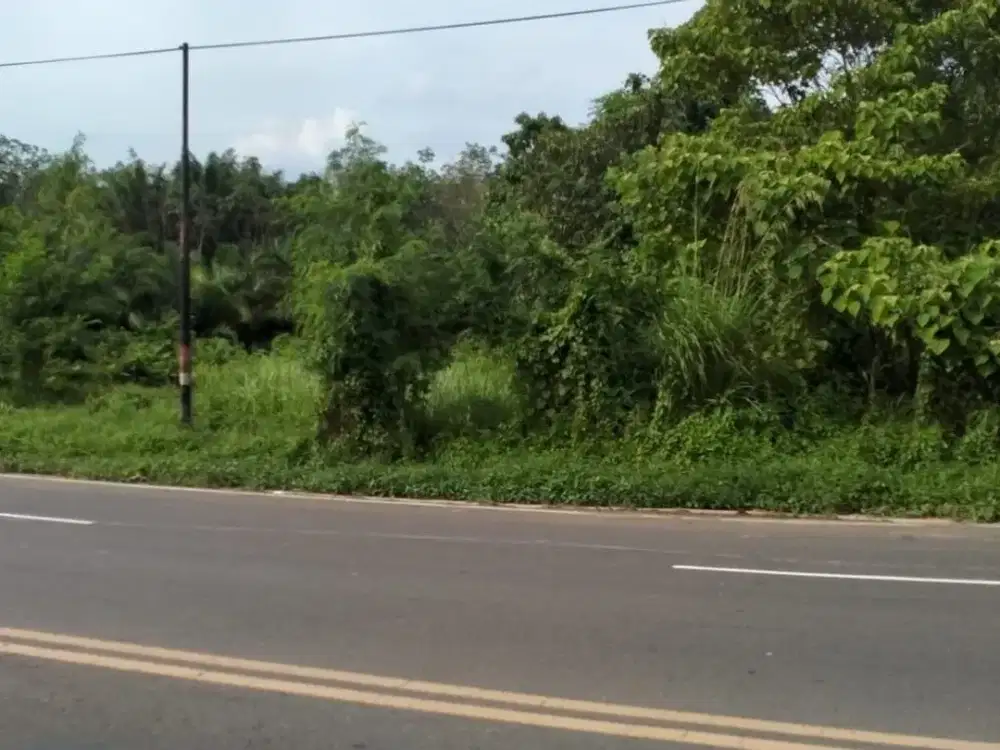 DIJUAL CEPAT TANAH STRATEGIS di GROGOT - PINGGIR JALAN