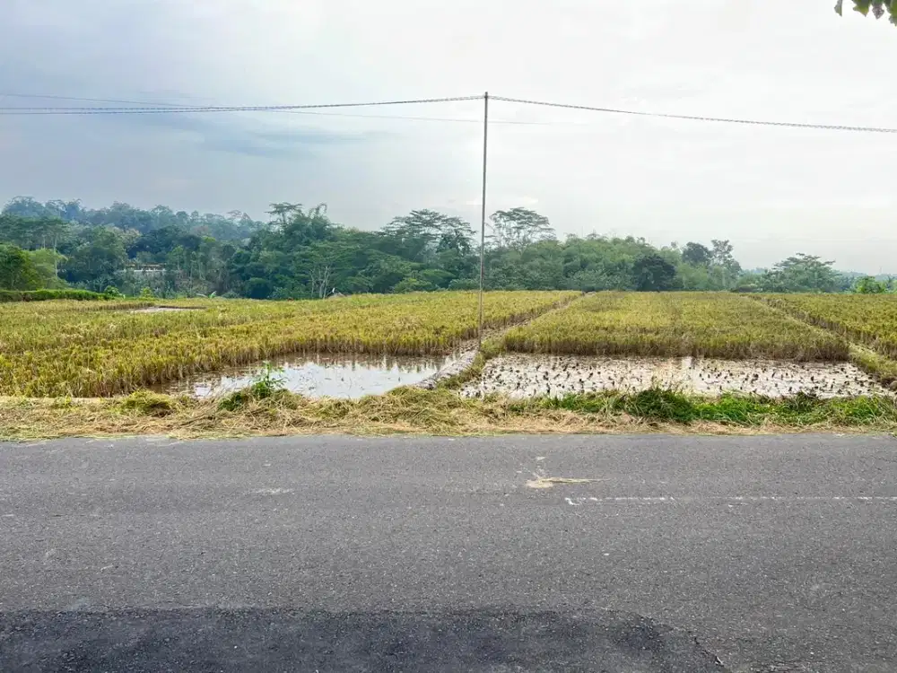 Tanah Strategis Pinggir Jalan 760m2 Mojogedang Karanganyar