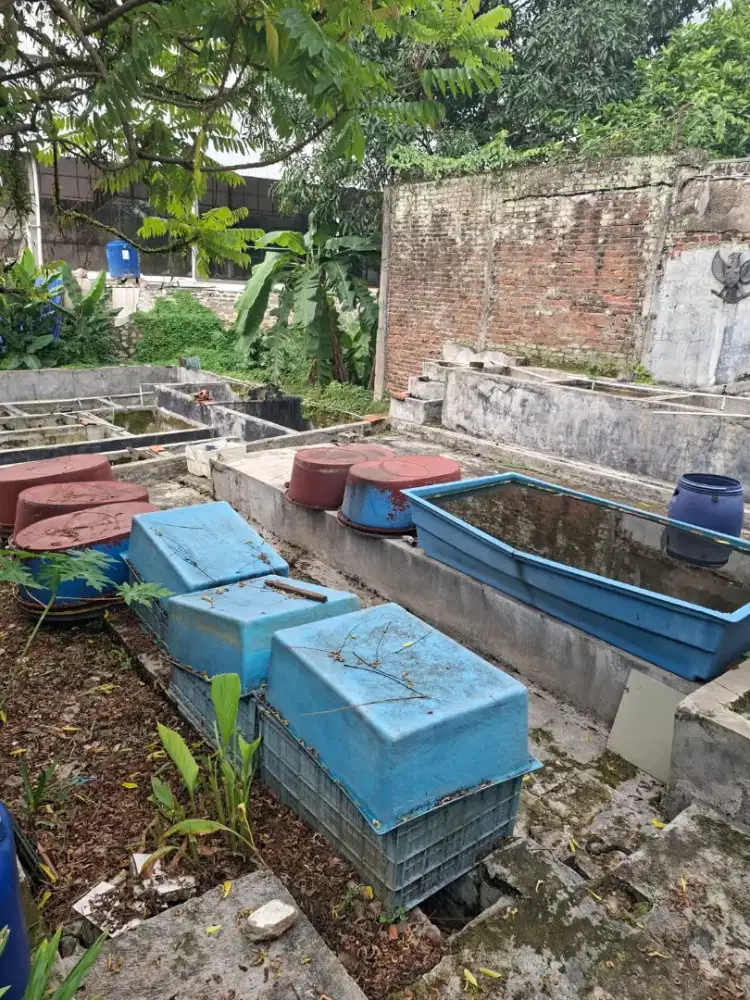 Dijual Bak Viber dan Akuarium