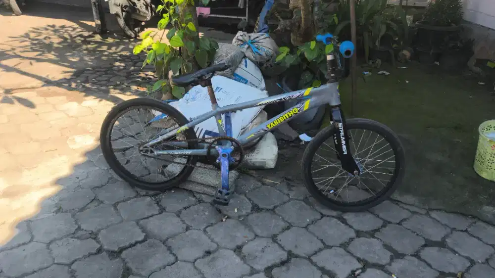 Sepeda polygon modif