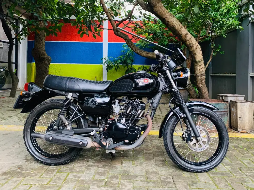 Kawasaki w175 se