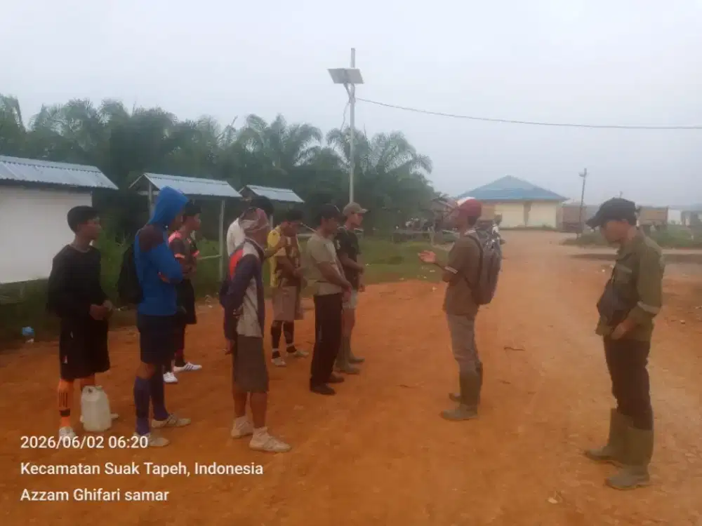 Dicari TK panen dan Muat