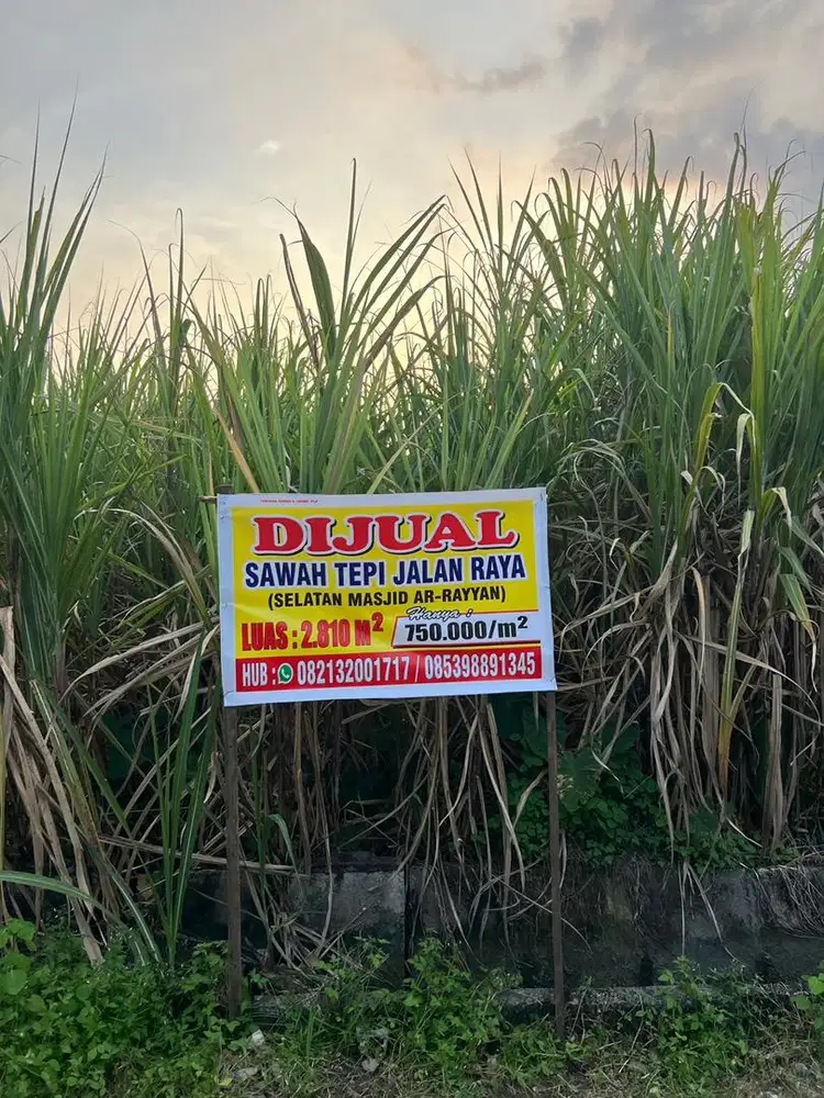 Dijual Tanah Sawah Tepi Jalan Raya Diwek Jombang