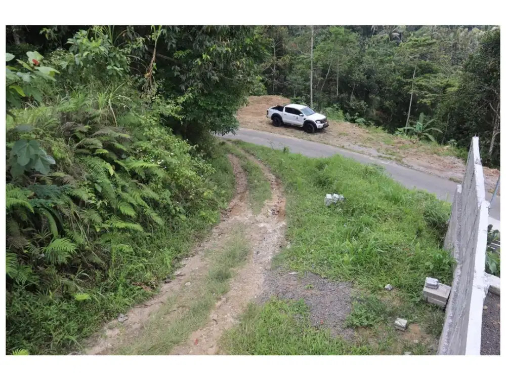 Dijual Tanah Strategis di Desa Apuan, Kecamatan Baturiti, Tabanan