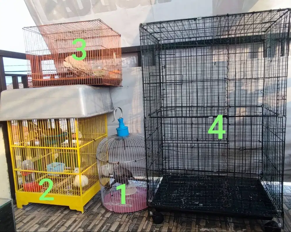 Burung puter perkutut sangkar kandang borong40407444