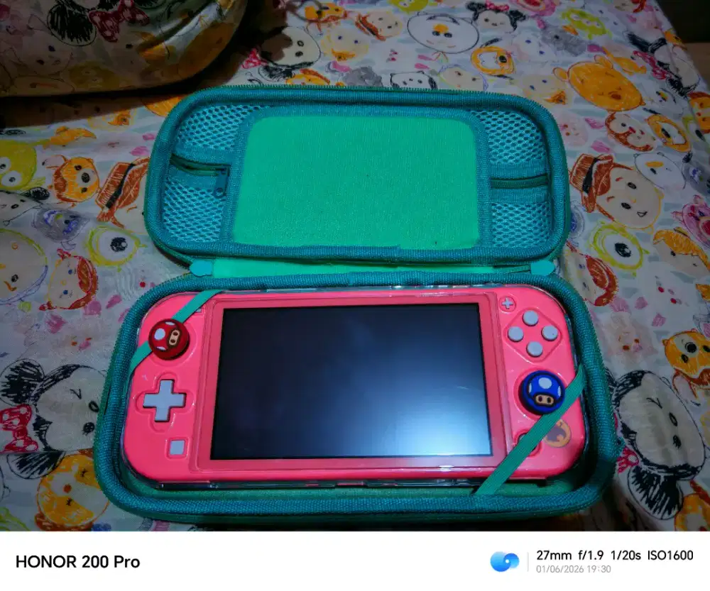 Nintendo switch lite