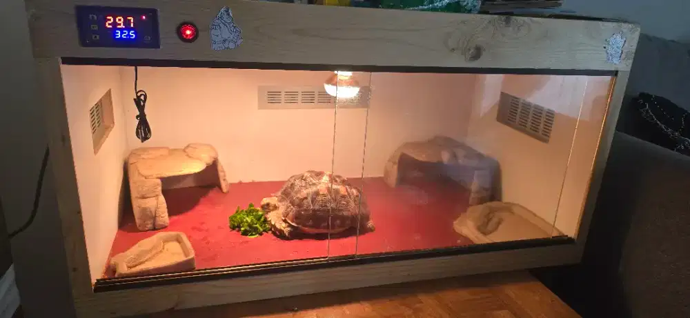 Jual Kandang Terrarium + Cave Bekas Kondisi Bagus