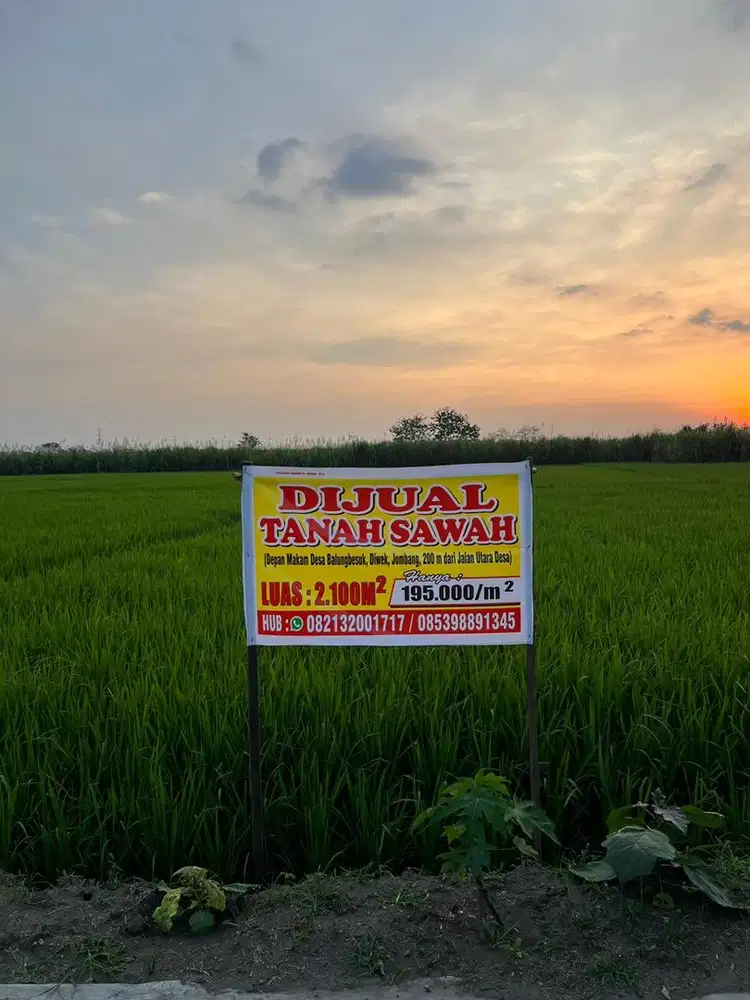 Dijual Sawah Diwek Jombang