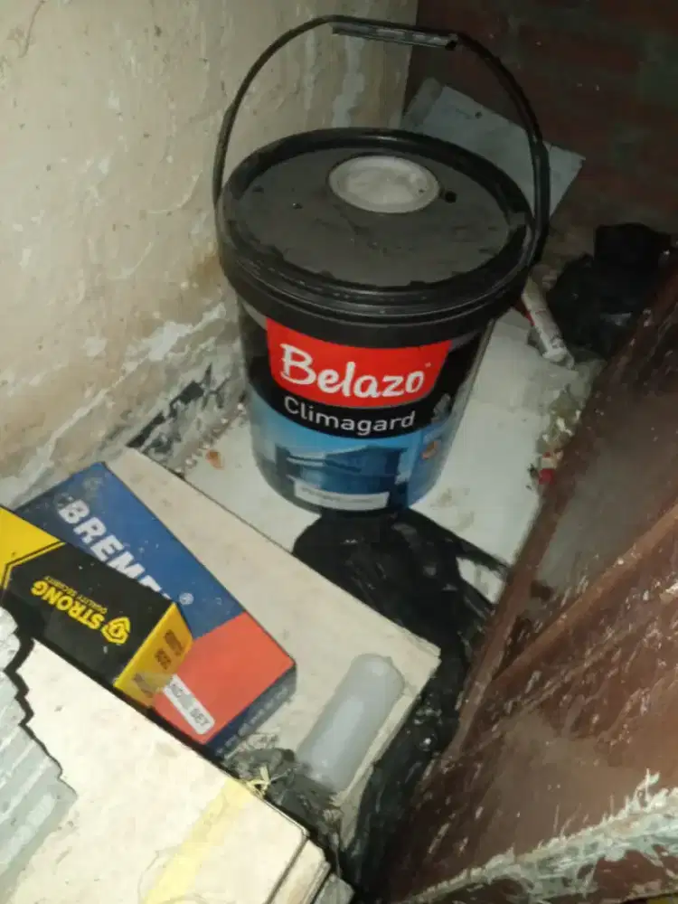 cat mewah BELAZO exterior