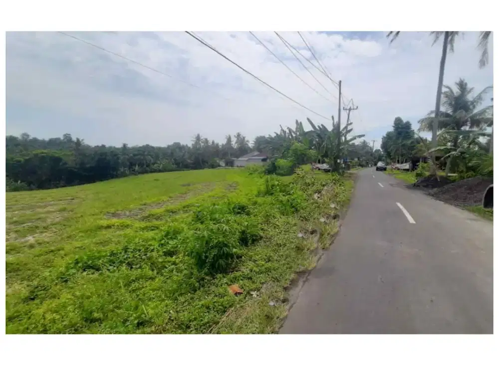Dijual Tanah Murah di Megati, Tabanan
