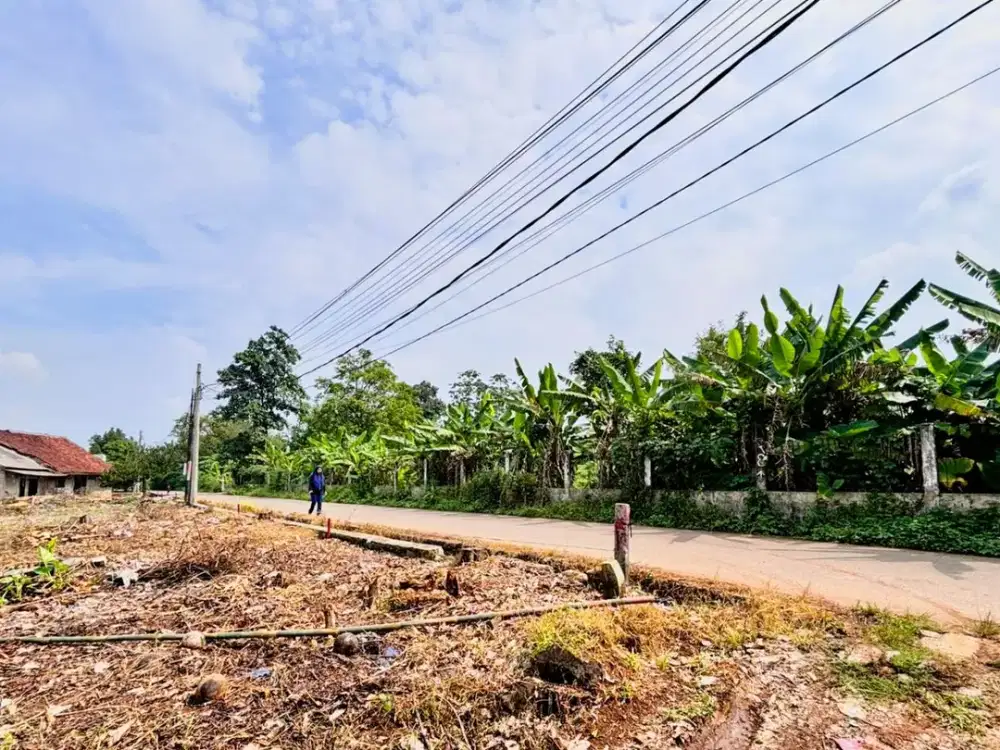 Tanah Murah Cisauk Dekat Hiera BSD,Coco Untuk Investasi