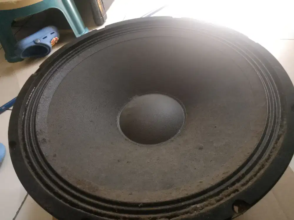 Speaker woofer 12 in