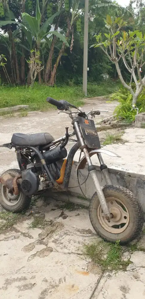 2tak 50cc th 2001