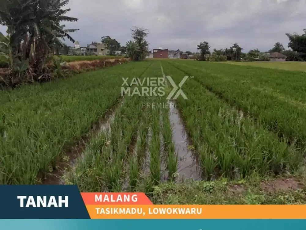 Dijual Tanah Kavling Luas Siap difungsikan di Tasikmadu Malang