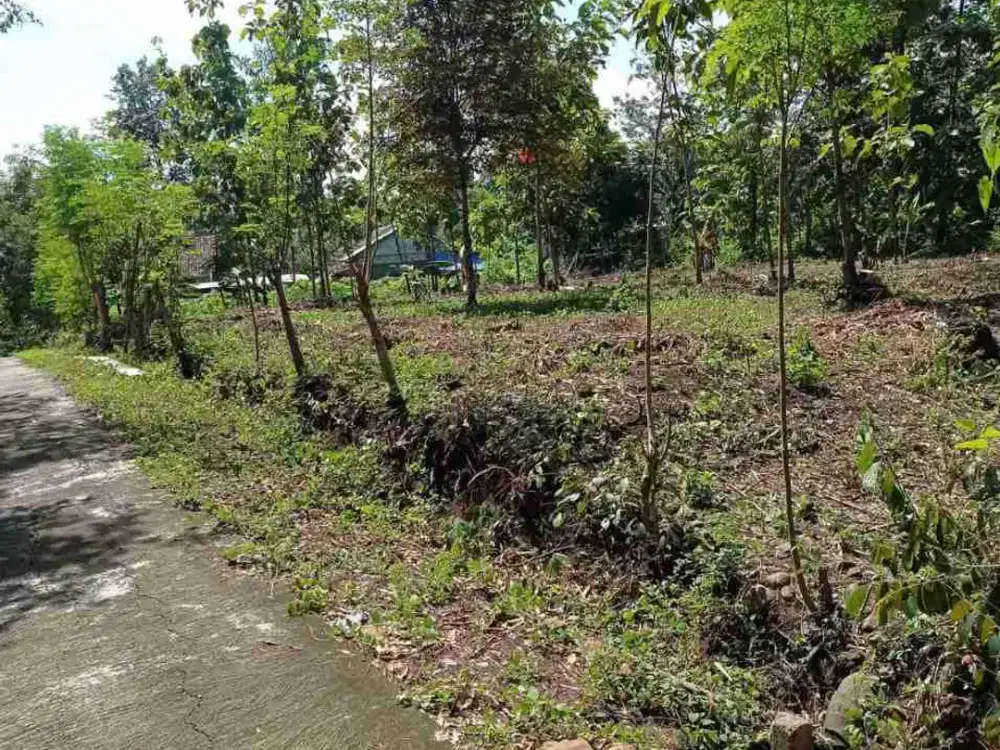 kavling dawungan Sepat Masaran Sragen
