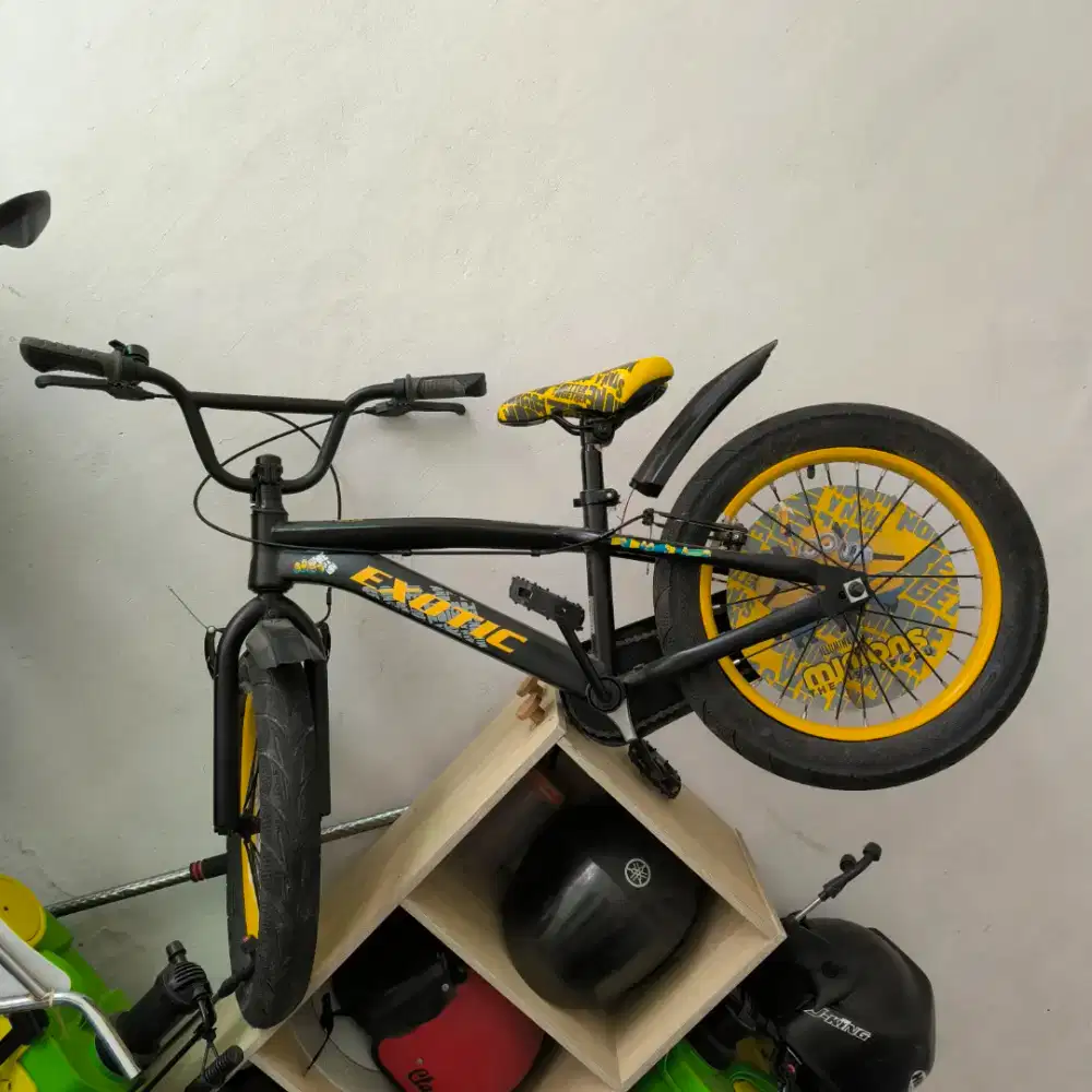 Sepeda Anak Exotic Second Hanya 2x Pakai