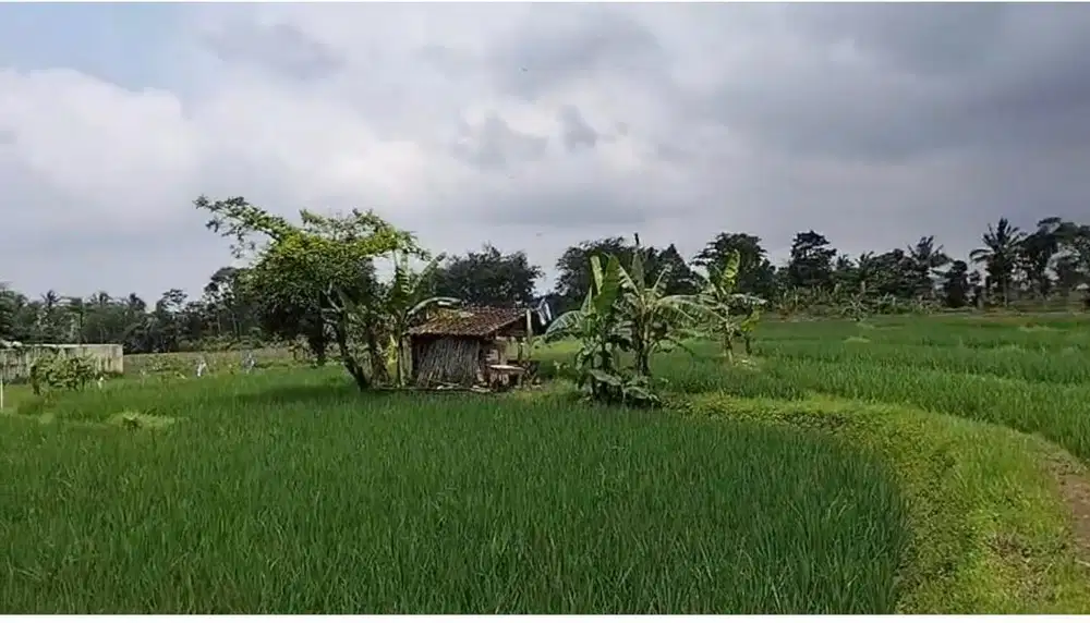 Tanah prime - view ciremai