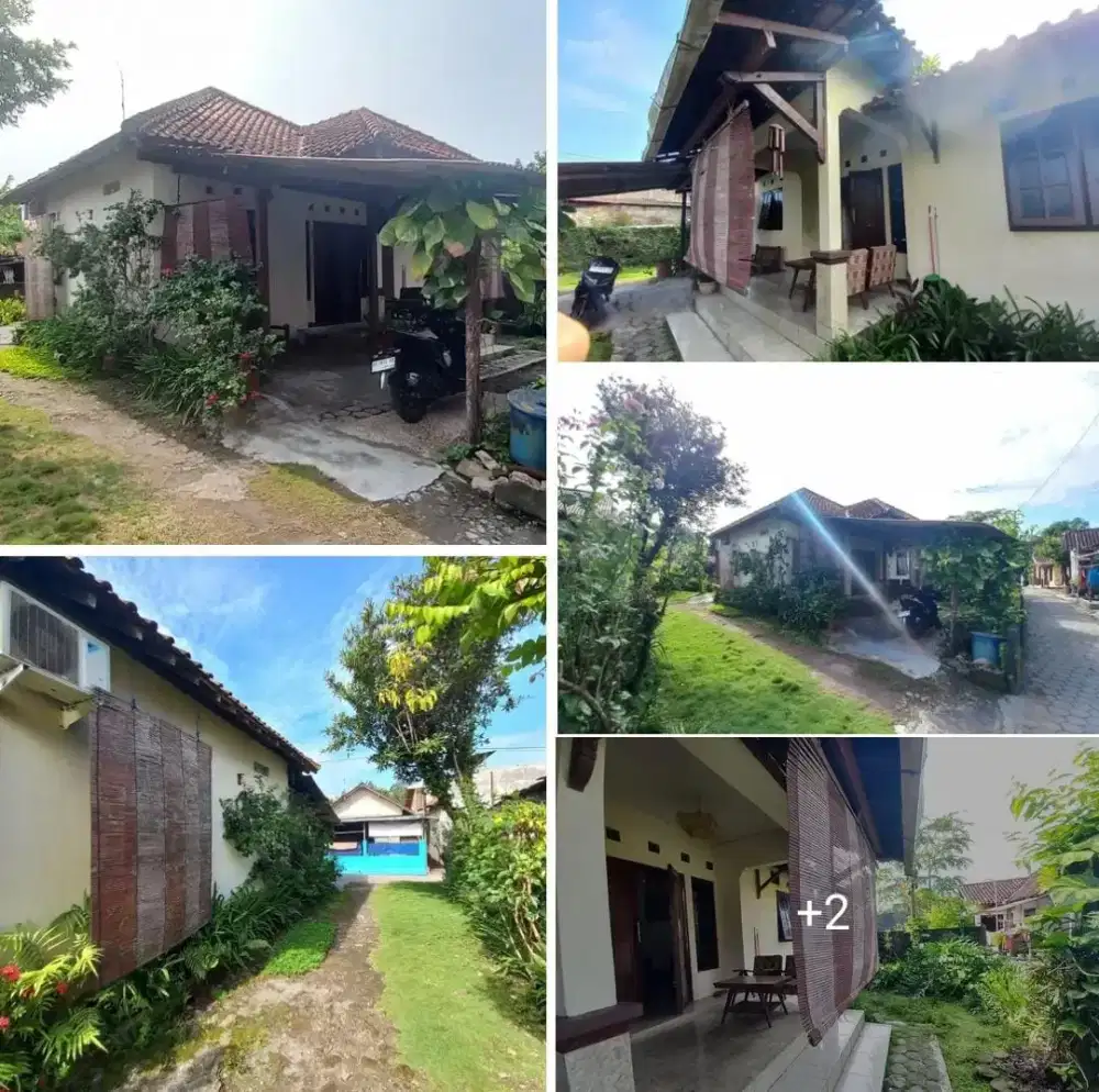DIJUAL RUMAH ASRI DENGAN TAMAN + DEKAT DENGAN JALAN BANTUL