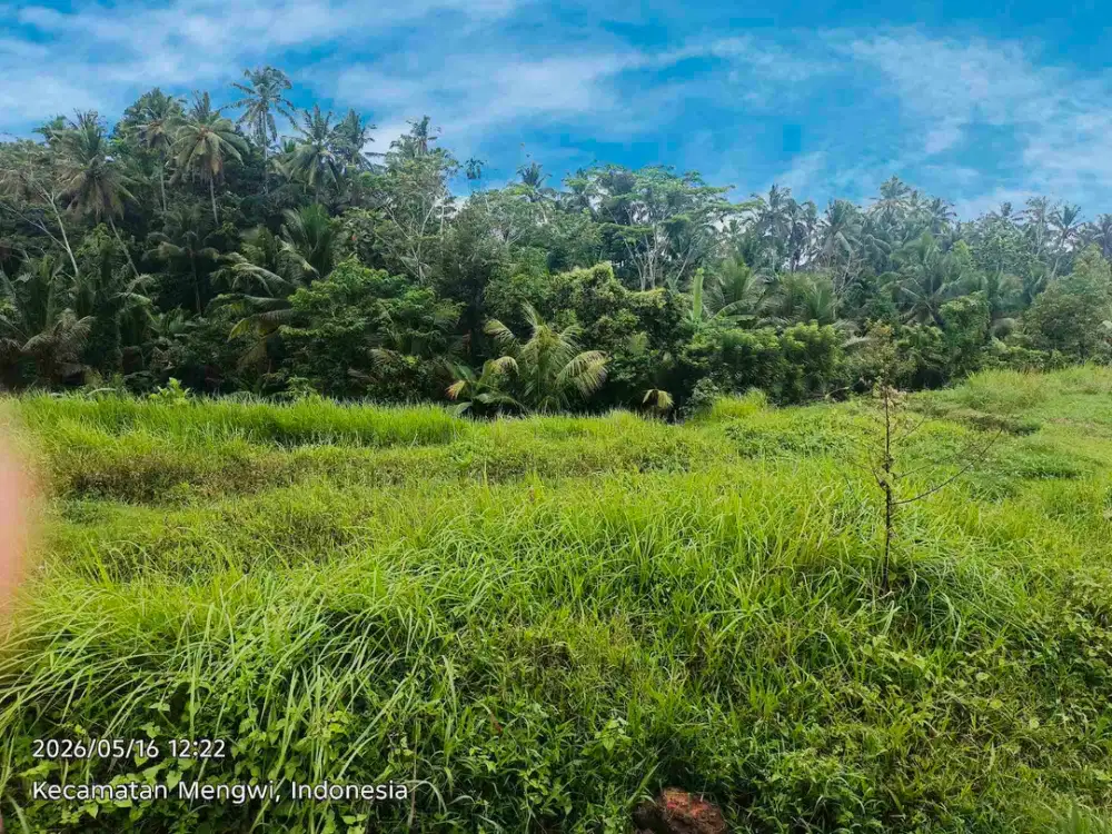 dijual tanah global 10ha