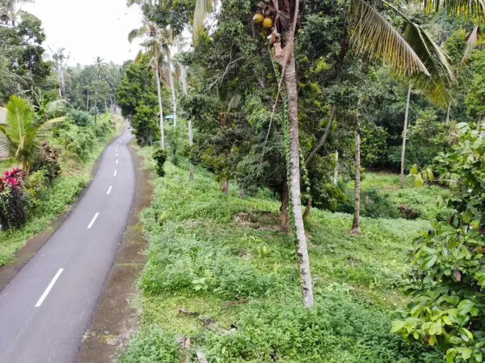 Tanah Kebun Dengan Aliran Sungai Di Tengah 30 Menit ke Pantai Pasut