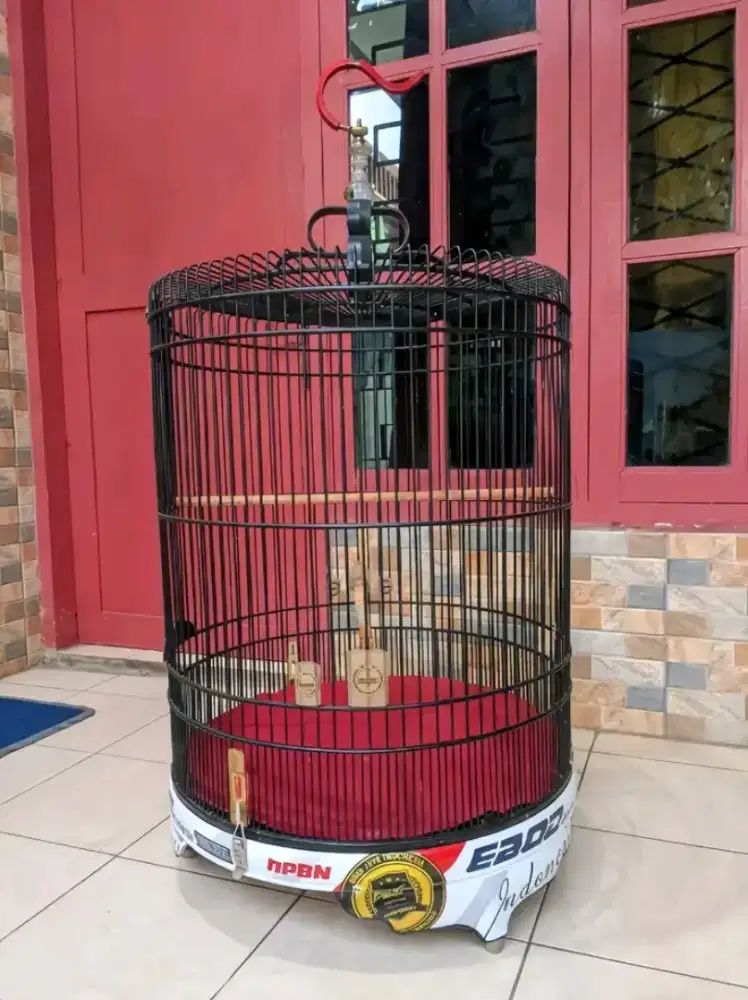kandang murai ebod pvc deval no.2